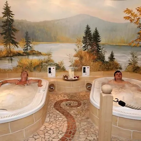 Wellness- & Wohlfuhlhotel St. Gunther מלון Rinchnach