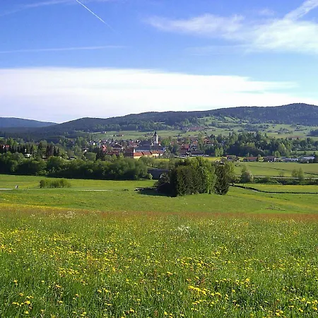Wellness- & Wohlfuhlhotel St. Gunther מלון Rinchnach