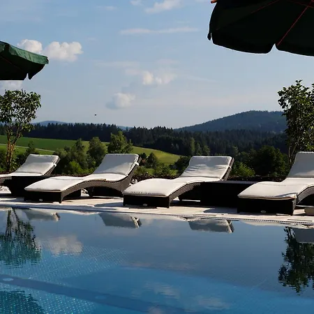 Wellness- & Wohlfuhlhotel St. Gunther מלון 4*
